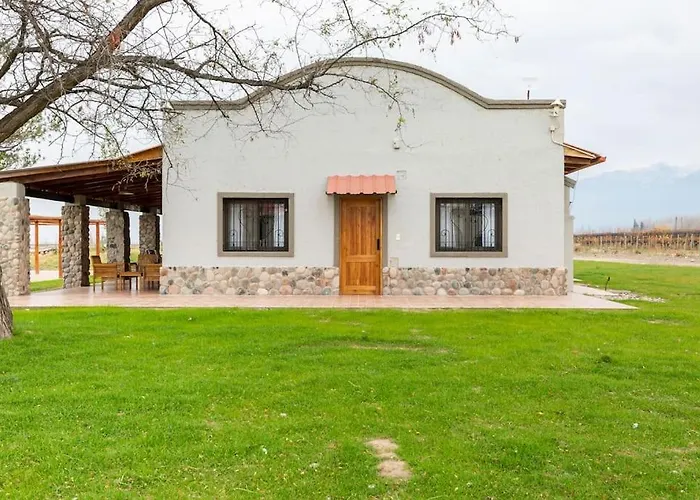 Calivista Vineyard
